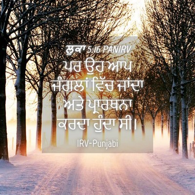Picture 04 - ਲੂਕਾ 5:16 PANIRV - ਪਰ ਉਹ ਆਪ ਜੰਗਲਾਂ - Bible Verse Picture