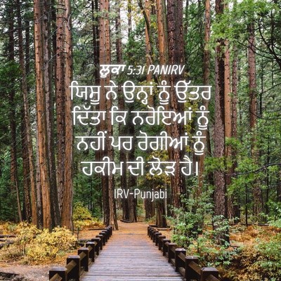 Picture 04 - ਲੂਕਾ 5:31 PANIRV - ਯਿਸੂ ਨੇ ਉਨ੍ਹਾਂ ਨੂੰ - Bible Verse Picture
