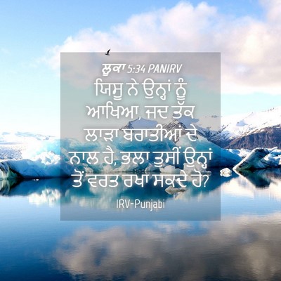 Picture 04 - ਲੂਕਾ 5:34 PANIRV - ਯਿਸੂ ਨੇ ਉਨ੍ਹਾਂ ਨੂੰ - Bible Verse Picture