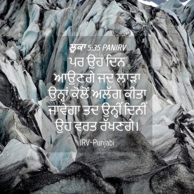 Picture 04 - ਲੂਕਾ 5:35 PANIRV - ਪਰ ਉਹ ਦਿਨ ਆਉਣਗੇ ਜਦ - Bible Verse Picture