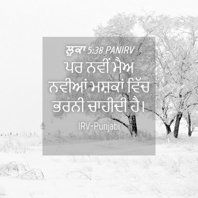 Picture 04 - ਲੂਕਾ 5:38 PANIRV - ਪਰ ਨਵੀਂ ਮੈਅ ਨਵੀਆਂ - Bible Verse Picture