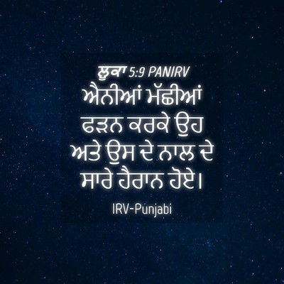 Picture 04 - ਲੂਕਾ 5:9 PANIRV - ਐਨੀਆਂ ਮੱਛੀਆਂ ਫੜਨ - Bible Verse Picture