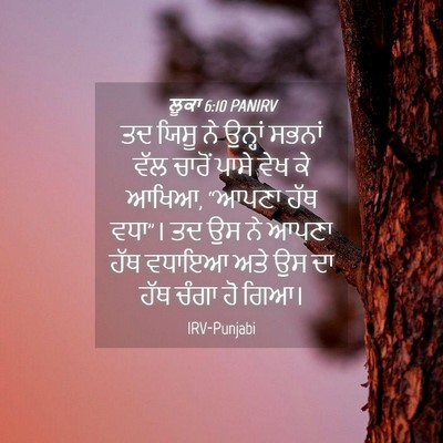 Picture 04 - ਲੂਕਾ 6:10 PANIRV - ਤਦ ਯਿਸੂ ਨੇ ਉਨ੍ਹਾਂ - Bible Verse Picture