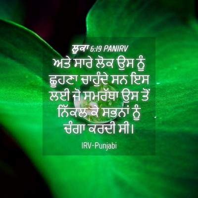 Picture 04 - ਲੂਕਾ 6:19 PANIRV - ਅਤੇ ਸਾਰੇ ਲੋਕ ਉਸ ਨੂੰ - Bible Verse Picture