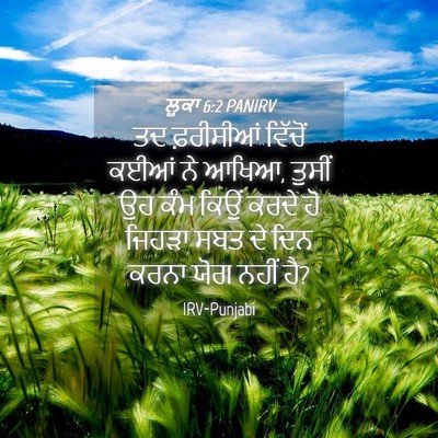 Picture 04 - ਲੂਕਾ 6:2 PANIRV - ਤਦ ਫ਼ਰੀਸੀਆਂ - Bible Verse Picture