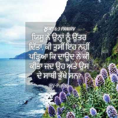 Picture 04 - ਲੂਕਾ 6:3 PANIRV - ਯਿਸੂ ਨੇ ਉਨ੍ਹਾਂ ਨੂੰ - Bible Verse Picture