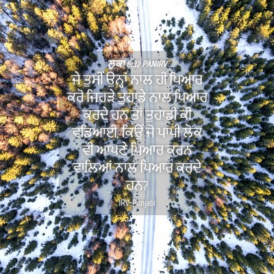 Picture 04 - ਲੂਕਾ 6:32 PANIRV - ਜੇ ਤੁਸੀਂ ਉਨ੍ਹਾਂ - Bible Verse Picture