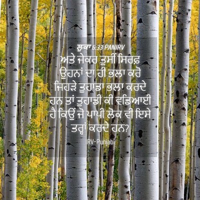 Picture 04 - ਲੂਕਾ 6:33 PANIRV - ਅਤੇ ਜੇਕਰ ਤੁਸੀਂ - Bible Verse Picture