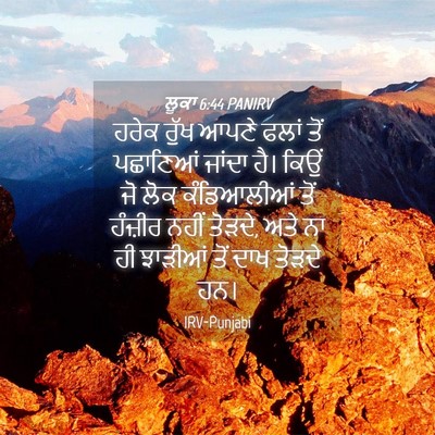 Picture 04 - ਲੂਕਾ 6:44 PANIRV - ਹਰੇਕ ਰੁੱਖ ਆਪਣੇ - Bible Verse Picture