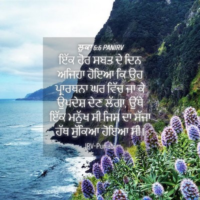 Picture 04 - ਲੂਕਾ 6:6 PANIRV - ਇੱਕ ਹੋਰ ਸਬਤ ਦੇ ਦਿਨ - Bible Verse Picture