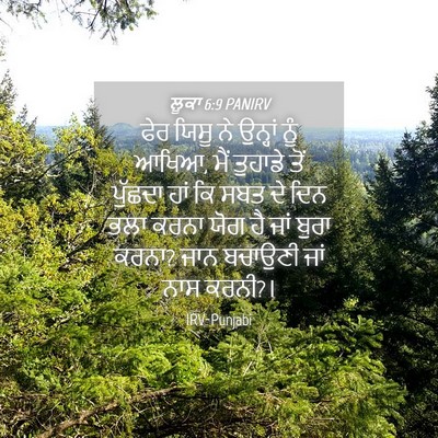 Picture 04 - ਲੂਕਾ 6:9 PANIRV - ਫੇਰ ਯਿਸੂ ਨੇ ਉਨ੍ਹਾਂ - Bible Verse Picture