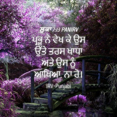 Picture 04 - ਲੂਕਾ 7:13 PANIRV - ਪ੍ਰਭੂ ਨੇ ਵੇਖ ਕੇ ਉਸ - Bible Verse Picture