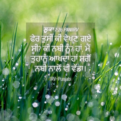 Picture 04 - ਲੂਕਾ 7:26 PANIRV - ਫੇਰ ਤੁਸੀਂ ਕੀ ਵੇਖਣ - Bible Verse Picture