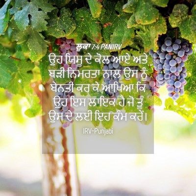 Picture 04 - ਲੂਕਾ 7:4 PANIRV - ਉਹ ਯਿਸੂ ਦੇ ਕੋਲ ਆਏ - Bible Verse Picture