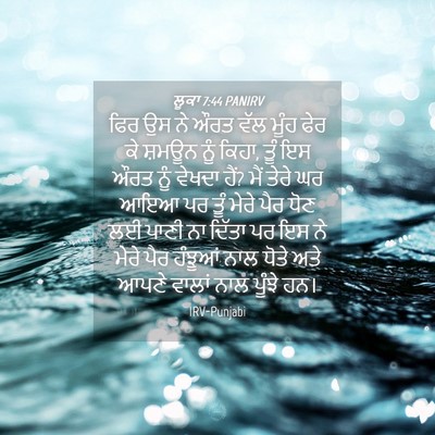 Picture 04 - ਲੂਕਾ 7:44 PANIRV - ਫਿਰ ਉਸ ਨੇ ਔਰਤ ਵੱਲ - Bible Verse Picture