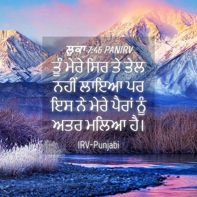 Picture 04 - ਲੂਕਾ 7:46 PANIRV - ਤੂੰ ਮੇਰੇ ਸਿਰ ਤੇ ਤੇਲ - Bible Verse Picture
