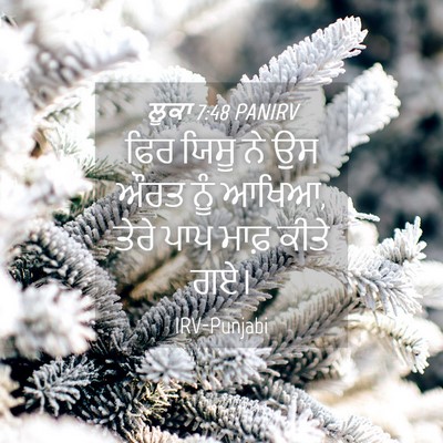 Picture 04 - ਲੂਕਾ 7:48 PANIRV - ਫਿਰ ਯਿਸੂ ਨੇ ਉਸ ਔਰਤ - Bible Verse Picture