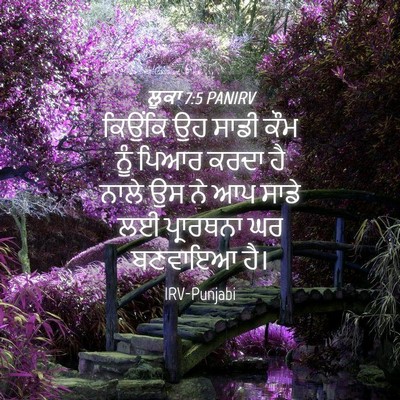 Picture 04 - ਲੂਕਾ 7:5 PANIRV - ਕਿਉਂਕਿ ਉਹ ਸਾਡੀ ਕੌਮ - Bible Verse Picture