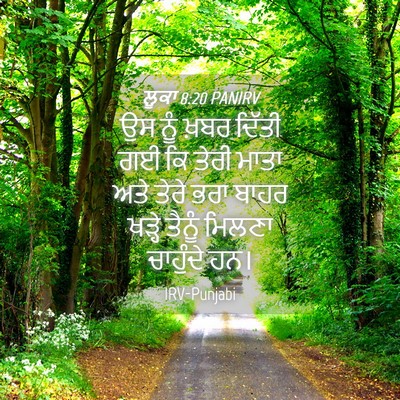 Picture 04 - ਲੂਕਾ 8:20 PANIRV - ਉਸ ਨੂੰ ਖ਼ਬਰ ਦਿੱਤੀ - Bible Verse Picture
