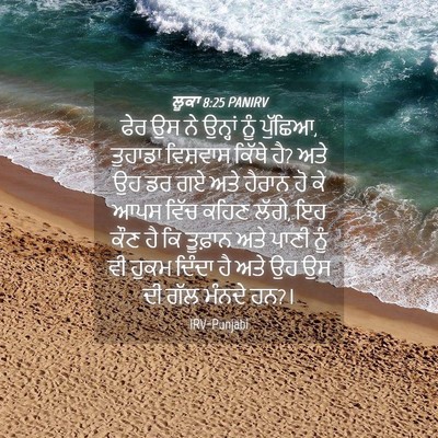 Picture 04 - ਲੂਕਾ 8:25 PANIRV - ਫੇਰ ਉਸ ਨੇ ਉਨ੍ਹਾਂ - Bible Verse Picture