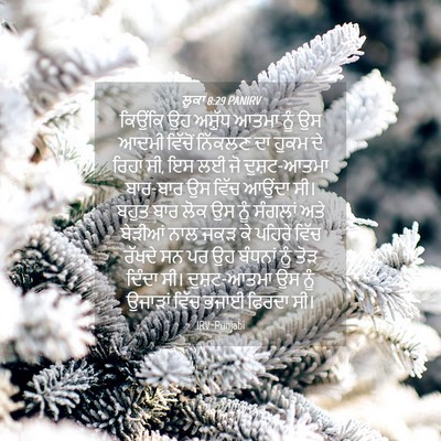 Picture 04 - ਲੂਕਾ 8:29 PANIRV - ਕਿਉਂਕਿ ਉਹ ਅਸ਼ੁੱਧ - Bible Verse Picture