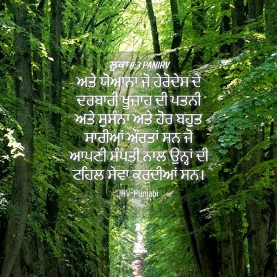 Picture 04 - ਲੂਕਾ 8:3 PANIRV - ਅਤੇ ਯੋਆਨਾ ਜੋ - Bible Verse Picture