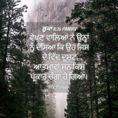 Picture 04 - ਲੂਕਾ 8:36 PANIRV - ਵੇਖਣ ਵਾਲਿਆਂ ਨੇ - Bible Verse Picture