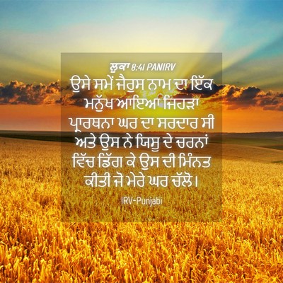 Picture 04 - ਲੂਕਾ 8:41 PANIRV - ਉਸੇ ਸਮੇਂ ਜੈਰੁਸ ਨਾਮ - Bible Verse Picture