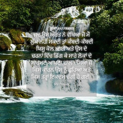 Picture 04 - ਲੂਕਾ 8:47 PANIRV - ਜਦ ਉਸ ਔਰਤ ਨੇ ਵੇਖਿਆ - Bible Verse Picture