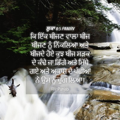 Picture 04 - ਲੂਕਾ 8:5 PANIRV - ਕਿ ਇੱਕ ਬੀਜਣ ਵਾਲਾ - Bible Verse Picture