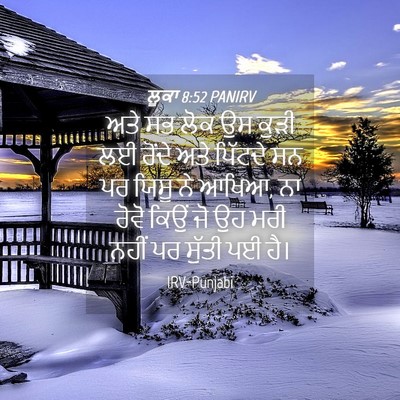 Picture 04 - ਲੂਕਾ 8:52 PANIRV - ਅਤੇ ਸਭ ਲੋਕ ਉਸ ਕੁੜੀ - Bible Verse Picture