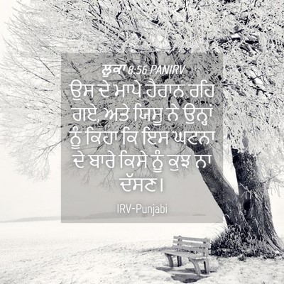Picture 04 - ਲੂਕਾ 8:56 PANIRV - ਉਸ ਦੇ ਮਾਪੇ ਹੈਰਾਨ - Bible Verse Picture