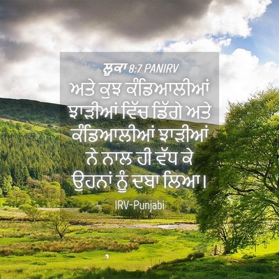 Picture 04 - ਲੂਕਾ 8:7 PANIRV - ਅਤੇ ਕੁਝ ਕੰਡਿਆਲੀਆਂ - Bible Verse Picture