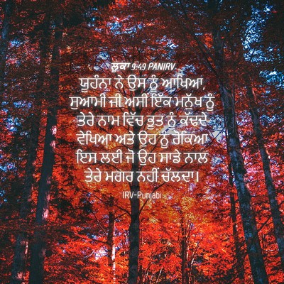 Picture 04 - ਲੂਕਾ 9:49 PANIRV - ਯੂਹੰਨਾ ਨੇ ਉਸ ਨੂੰ - Bible Verse Picture