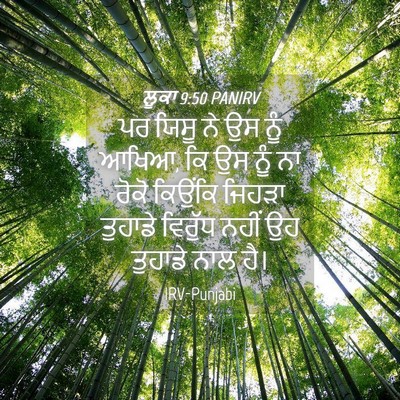 Picture 04 - ਲੂਕਾ 9:50 PANIRV - ਪਰ ਯਿਸੂ ਨੇ ਉਸ ਨੂੰ - Bible Verse Picture