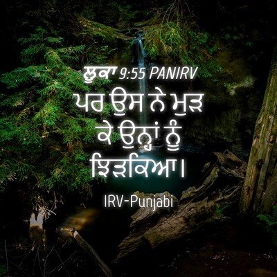 Picture 04 - ਲੂਕਾ 9:55 PANIRV - ਪਰ ਉਸ ਨੇ ਮੁੜ ਕੇ - Bible Verse Picture