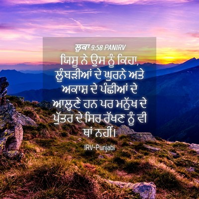 Picture 04 - ਲੂਕਾ 9:58 PANIRV - ਯਿਸੂ ਨੇ ਉਸ ਨੂੰ - Bible Verse Picture