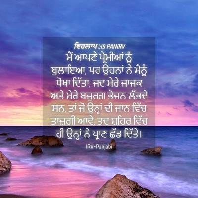 Picture 04 - ਵਿਰਲਾਪ 1:19 PANIRV - ਮੈਂ ਆਪਣੇ ਪ੍ਰੇਮੀਆਂ - Bible Verse Picture