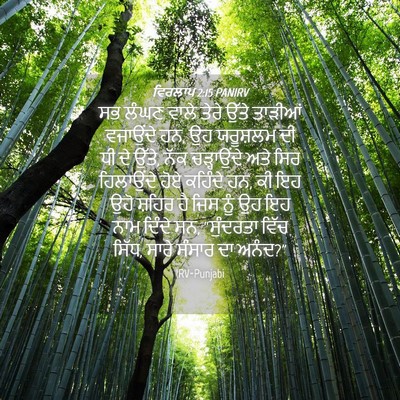 Picture 04 - ਵਿਰਲਾਪ 2:15 PANIRV - ਸਭ ਲੰਘਣ ਵਾਲੇ ਤੇਰੇ - Bible Verse Picture