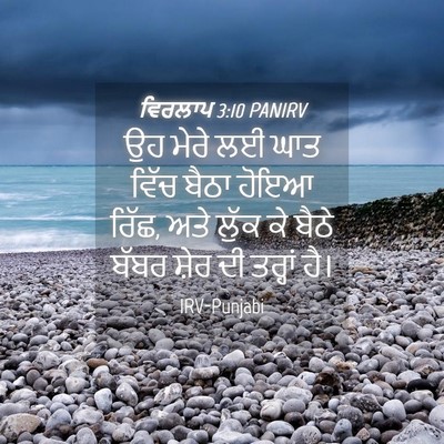 Picture 04 - ਵਿਰਲਾਪ 3:10 PANIRV - ਉਹ ਮੇਰੇ ਲਈ ਘਾਤ ਵਿੱਚ - Bible Verse Picture