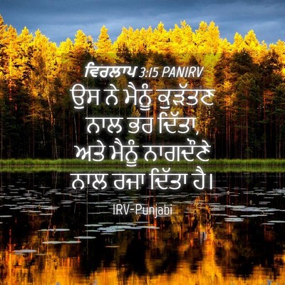 Picture 04 - ਵਿਰਲਾਪ 3:15 PANIRV - ਉਸ ਨੇ ਮੈਨੂੰ ਕੁੜੱਤਣ - Bible Verse Picture