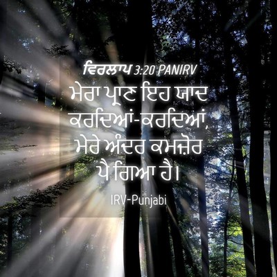 Picture 04 - ਵਿਰਲਾਪ 3:20 PANIRV - ਮੇਰਾ ਪ੍ਰਾਣ ਇਹ ਯਾਦ - Bible Verse Picture