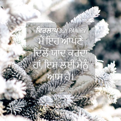 Picture 04 - ਵਿਰਲਾਪ 3:21 PANIRV - ਮੈਂ ਇਹ ਆਪਣੇ ਦਿਲੋਂ - Bible Verse Picture