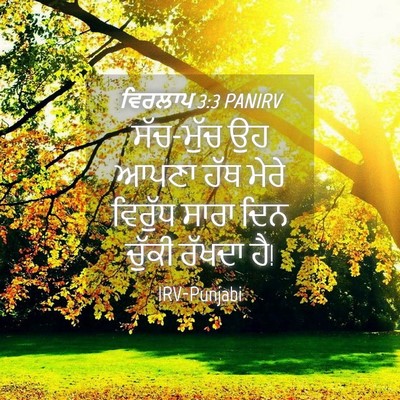 Picture 04 - ਵਿਰਲਾਪ 3:3 PANIRV - ਸੱਚ-ਮੁੱਚ ਉਹ ਆਪਣਾ - Bible Verse Picture