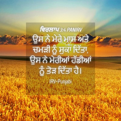 Picture 04 - ਵਿਰਲਾਪ 3:4 PANIRV - ਉਸ ਨੇ ਮੇਰੇ ਮਾਸ ਅਤੇ - Bible Verse Picture