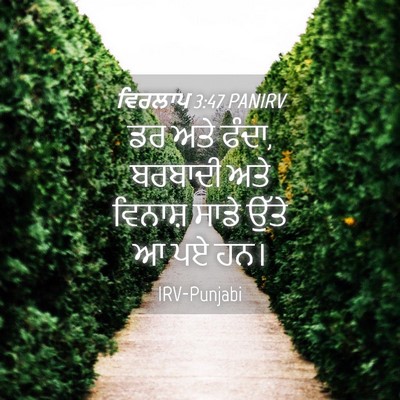 Picture 04 - ਵਿਰਲਾਪ 3:47 PANIRV - ਡਰ ਅਤੇ ਫੰਦਾ, ਬਰਬਾਦੀ - Bible Verse Picture