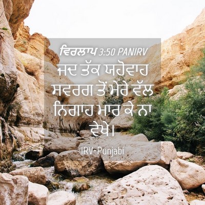 Picture 04 - ਵਿਰਲਾਪ 3:50 PANIRV - ਜਦ ਤੱਕ ਯਹੋਵਾਹ ਸਵਰਗ - Bible Verse Picture