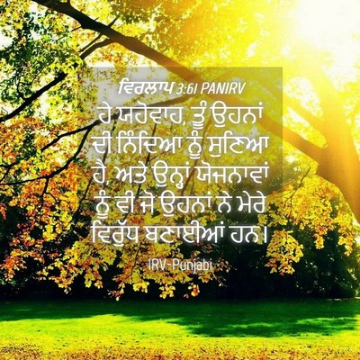 Picture 04 - ਵਿਰਲਾਪ 3:61 PANIRV - ਹੇ ਯਹੋਵਾਹ, ਤੂੰ - Bible Verse Picture