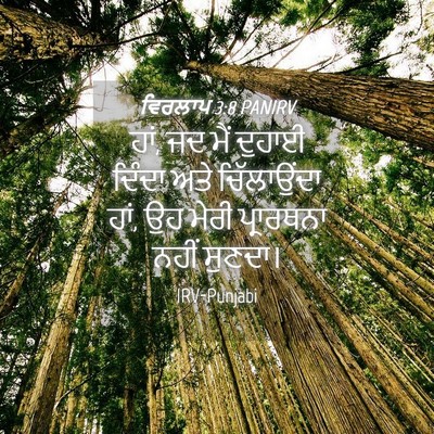 Picture 04 - ਵਿਰਲਾਪ 3:8 PANIRV - ਹਾਂ, ਜਦ ਮੈਂ ਦੁਹਾਈ - Bible Verse Picture