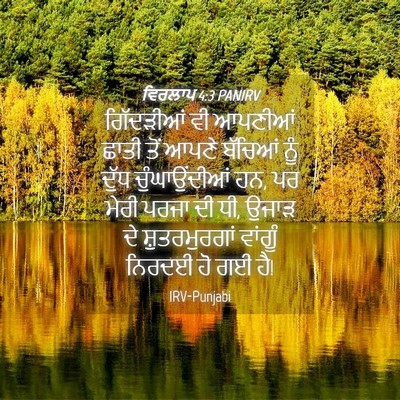 Picture 04 - ਵਿਰਲਾਪ 4:3 PANIRV - ਗਿੱਦੜੀਆਂ ਵੀ - Bible Verse Picture